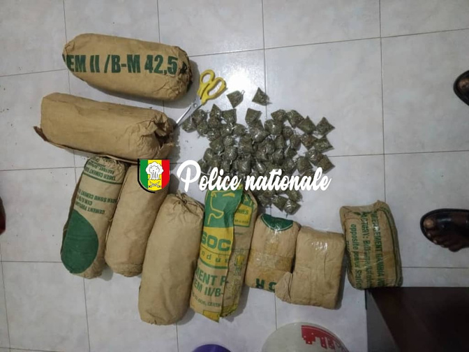 Saisie de 9kg de cannabis par la BRS de Louga