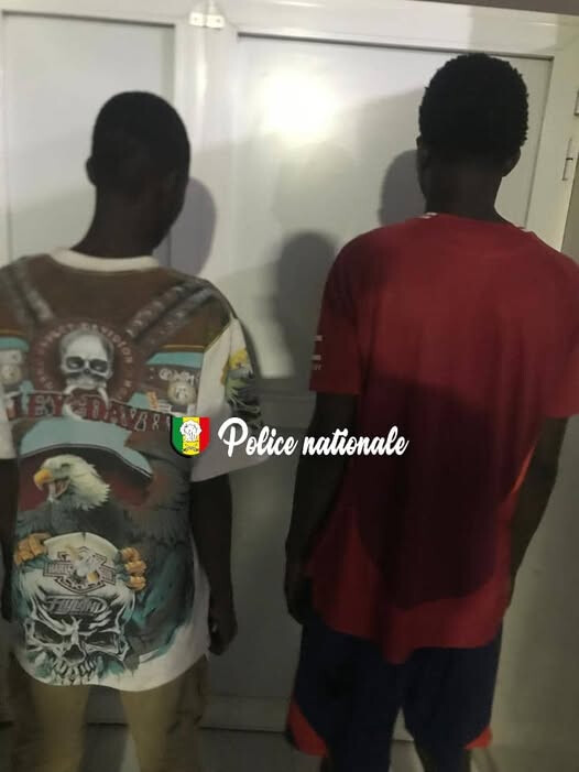 Parcelles Assainies : deux jeunes arrêtés pour avoir agressé une élève dans la rue