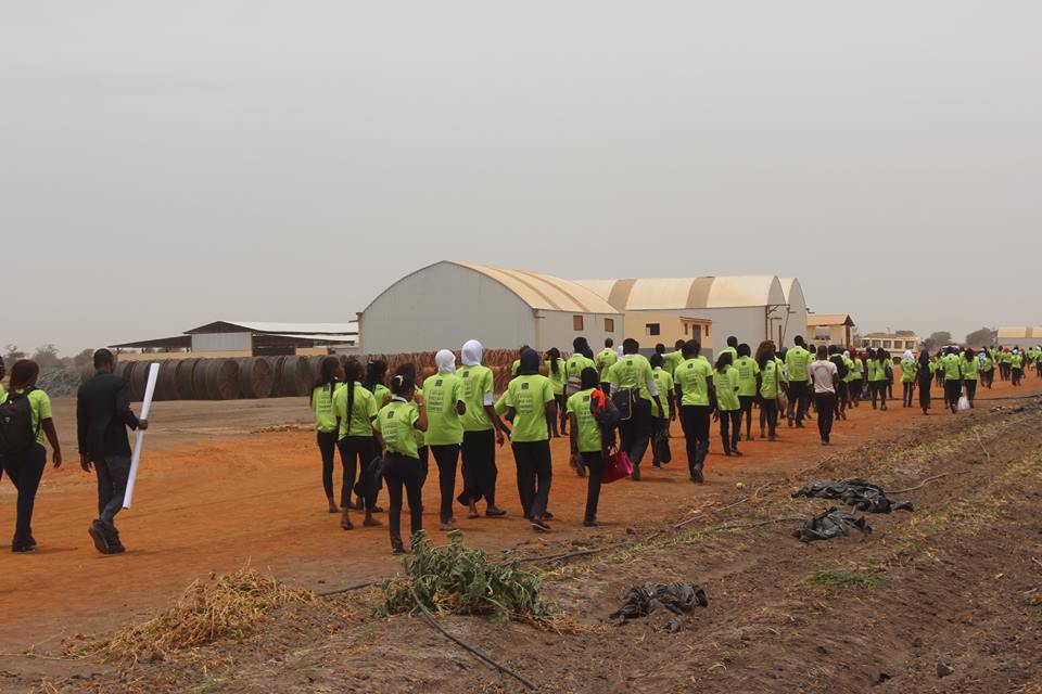 La célébration de la Green Week de l'ISM Thiès en images