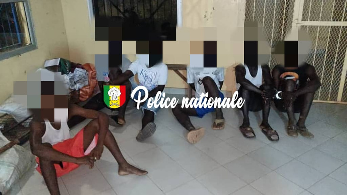 Sédhiou : Huit individus interpellés pour vol de bétail et abattage clandestin