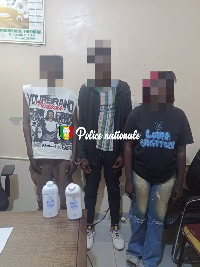 Fatick : Trois individus interpellés pour trafic international de drogue