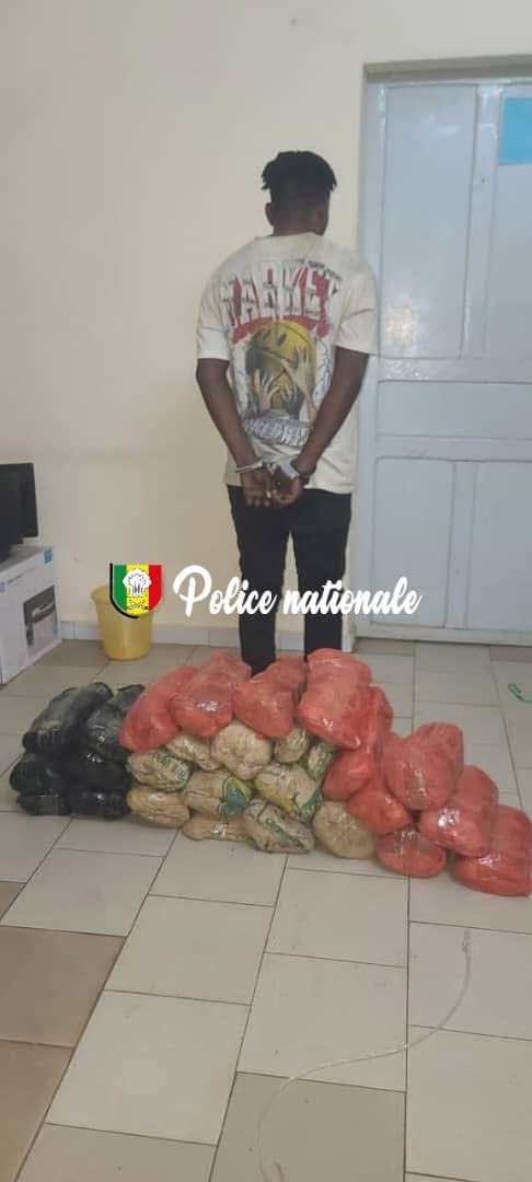 Saisie de 25,5 kg de Chanvre Indien à Fatick : Un Individu Interpellé