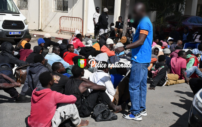 Emigration clandestine : La Division nationale de lutte contre le trafic de migrants et les pratiques assimilées (DNLT) interpelle 238 migrants