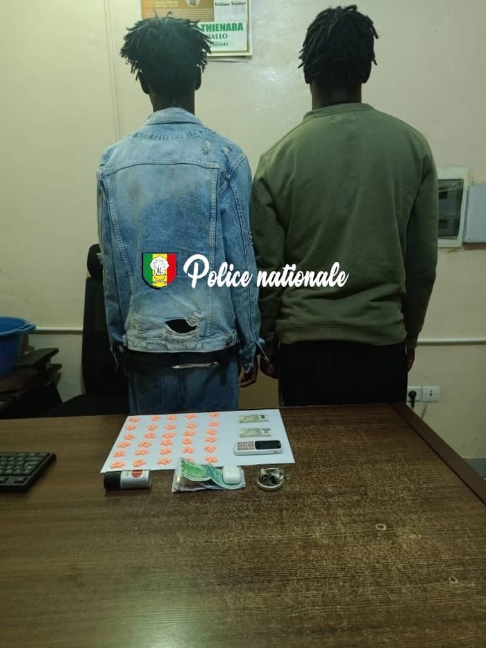 Fatick : deux individus interpellés avec 149 comprimés d’ecstasy