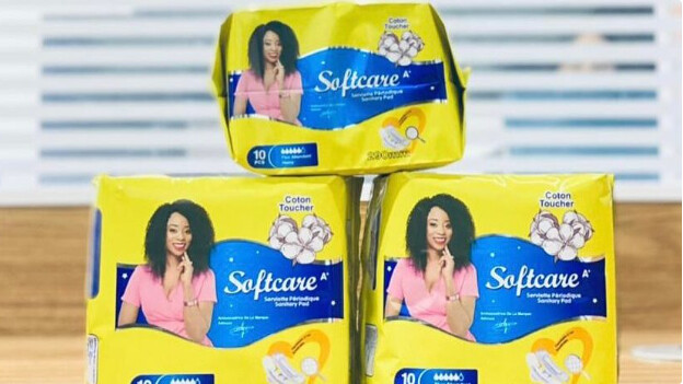 Affaire Softcare : La Direction de l’ARP mouillée par ses propres inspecteurs