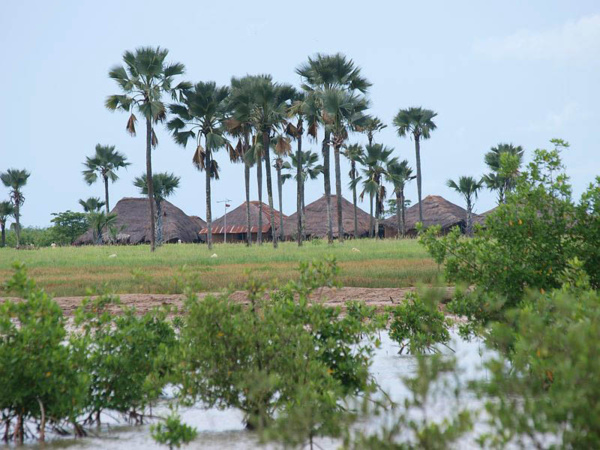 Agents sénégalais arrêtés en Gambie : Ils avaient pour mission de procéder à une cartographie de la demande de veille environnementale...