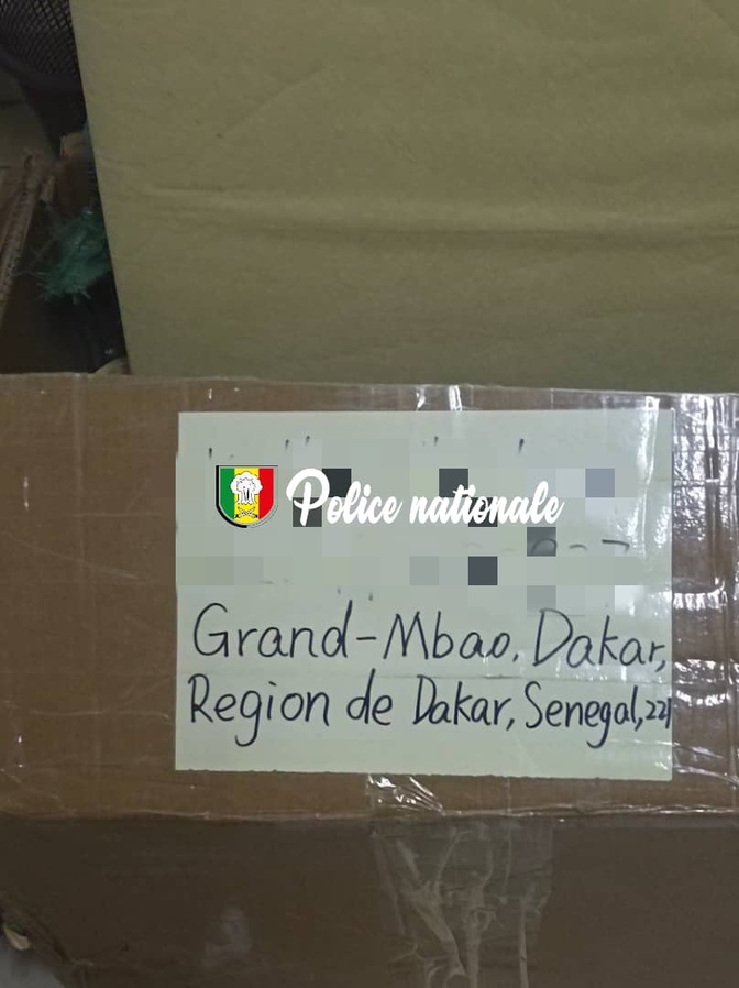 Dakar : 17 kg de kush dissimulés dans un colis interceptés par la police (Photos)