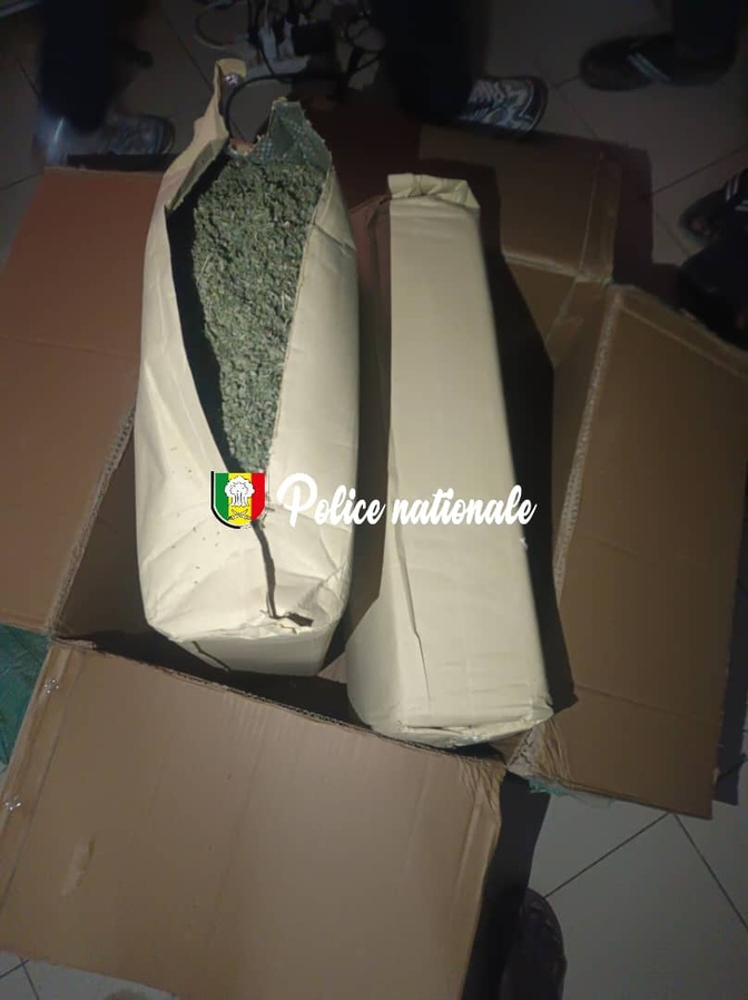 Dakar : 17 kg de kush dissimulés dans un colis, interceptés par la Police (Photos) Dakar : 17 kg de kush dissimulés dans un colis, interceptés par la Police (Photos)