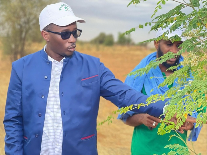 Bassirou Hamédine Sy, Pdt de l'Association « Podor Vert » : Une fibre écologique au cœur du développement communautaire au Fouta