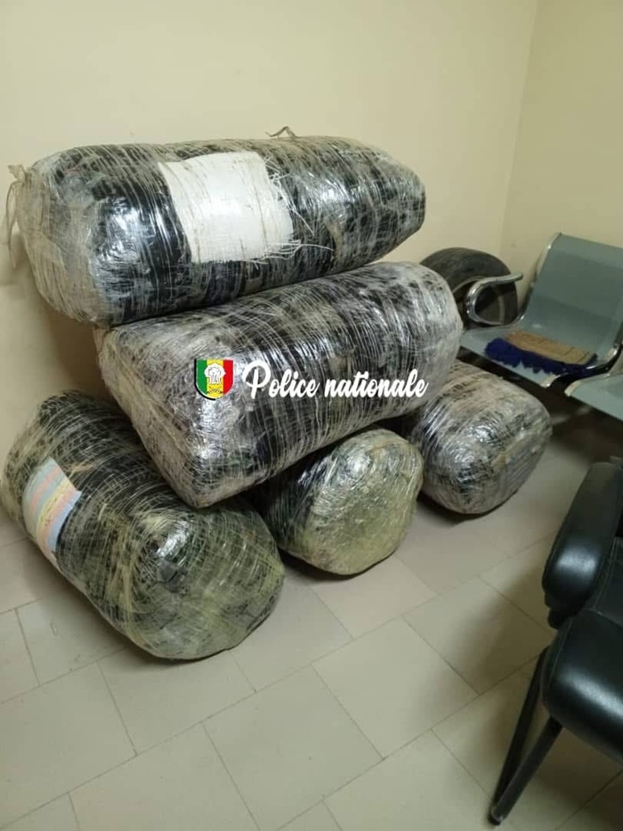 Trafic de drogue : l’OCRTIS met la main sur 196 kg de chanvre indien à Thiès