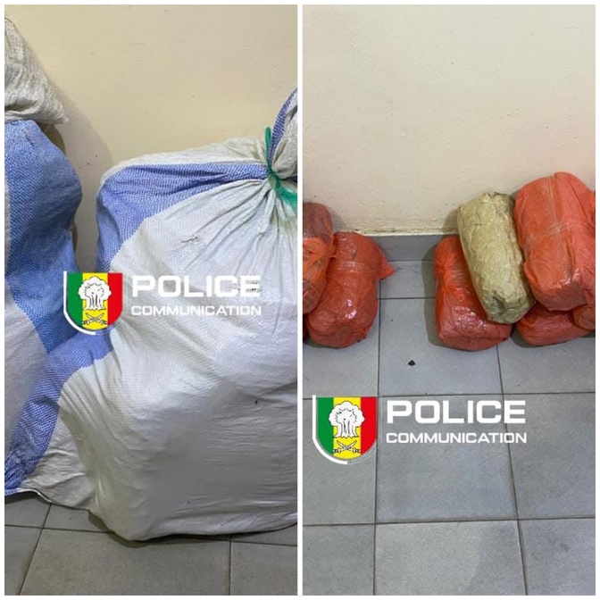 Fatick : Saisie de 24 kg de chanvre indien à Sirmang par la BRS