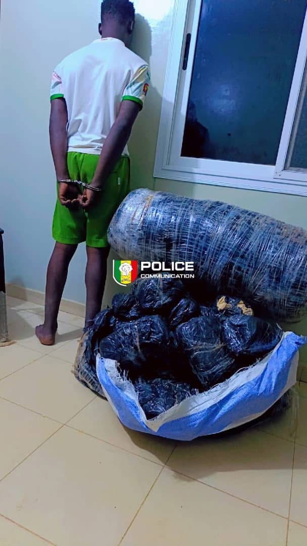 Trafic de chanvre indien: Deux individus arrêtés 