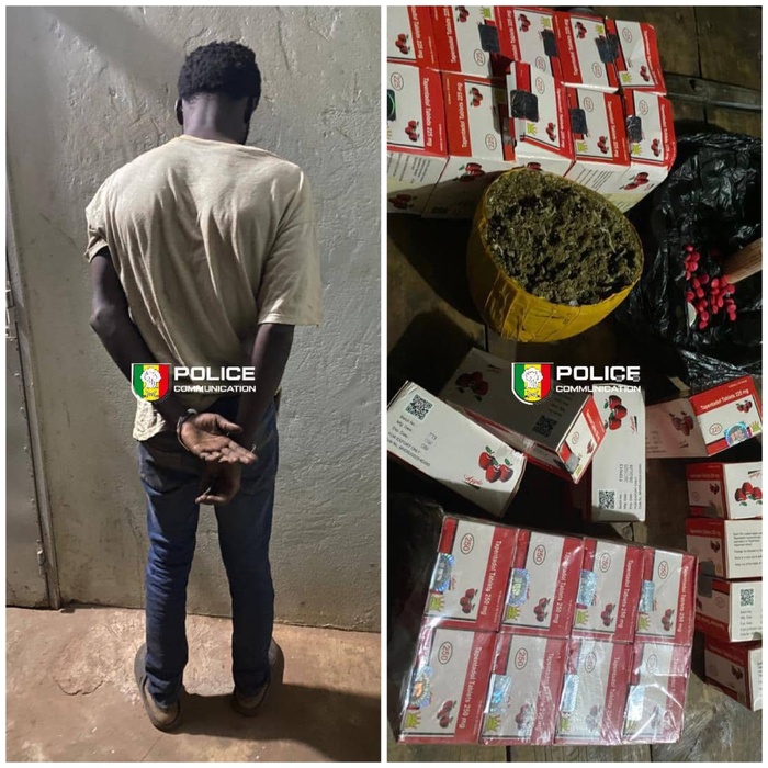 Trafic de stupéfiants à Kédougou : un individu interpellé par l’OCRTIS