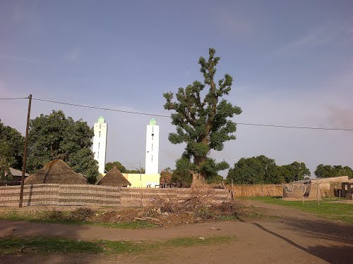 Kandiou, ce village qui vous soigne