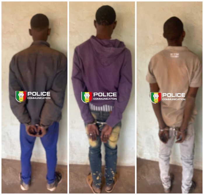 Kédougou : La BRS démantèle un réseau de trafic de kush et de médicaments