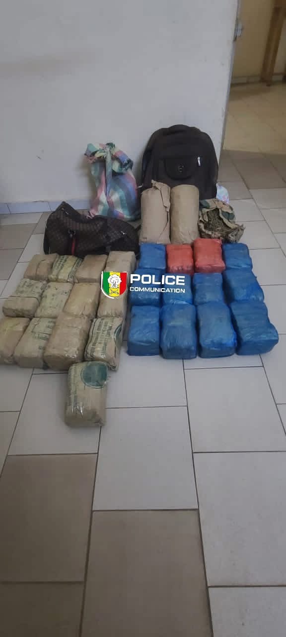 Fatick : des trafiquants en fuite, 28 kg de chanvre indien et une moto saisis