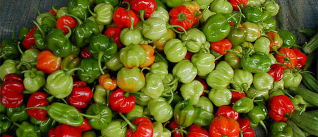 14 aliments qui vous permettront de vivre centenaire