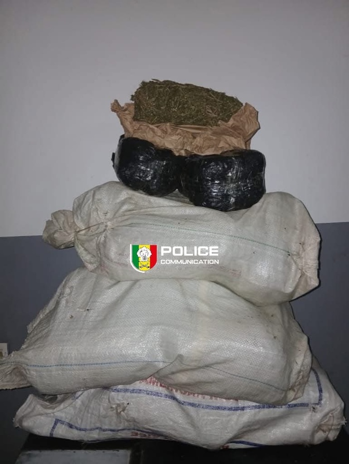 Saisie de 24 kg de chanvre indien et d’une moto de marque Safari à Komoya