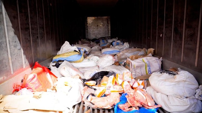 Lutte contre les trafics illicites : D’importantes quantités de cuisses de poulet et de chanvre indien saisies par les Douanes Lutte contre les trafics illicites : D’importantes quantités de cuisses de poulet et de chanvre indien saisies par les Douanes