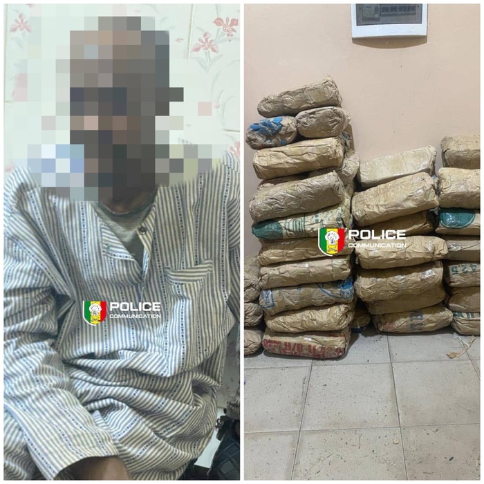 Lutte contre le trafic de drogue : La BRS de Kaolack intercepte 55 kg de chanvre indien