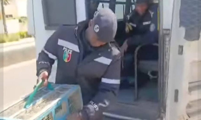 Vente d’oiseaux en cage : La Police nationale lance une vaste opération pour mettre fin à cette pratique