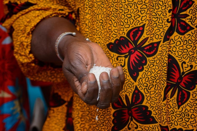 Photos / Agro-industrie et transformation locale : la CCIAZ et Central Équipement au cœur de la dynamique Sénégal 2050 dans le pôle Sud