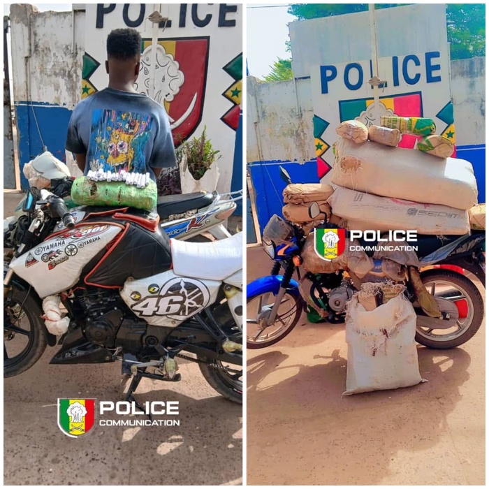 Kolda : 44,1 kg de chanvre indien saisis lors de deux opérations policières