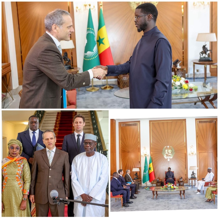 Palais : échange entre le Chef de l’État et le DG de TARANIS Energy