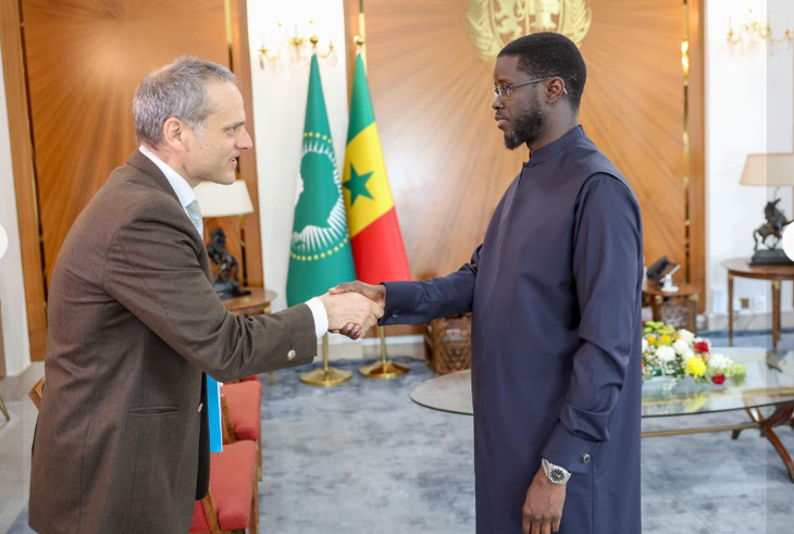 Photos : Le Président Bassirou Diomaye Faye a reçu le Directeur général de TARANIS Energy for Africa, ce vendredi