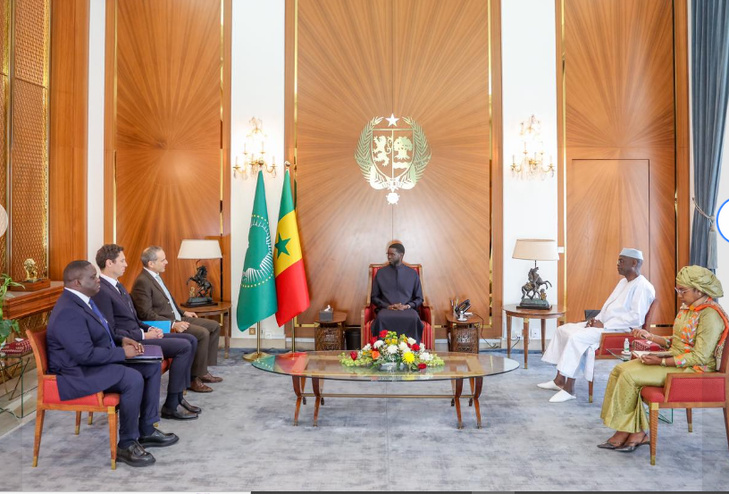 Photos : Le Président Bassirou Diomaye Faye a reçu le Directeur général de TARANIS Energy for Africa, ce vendredi
