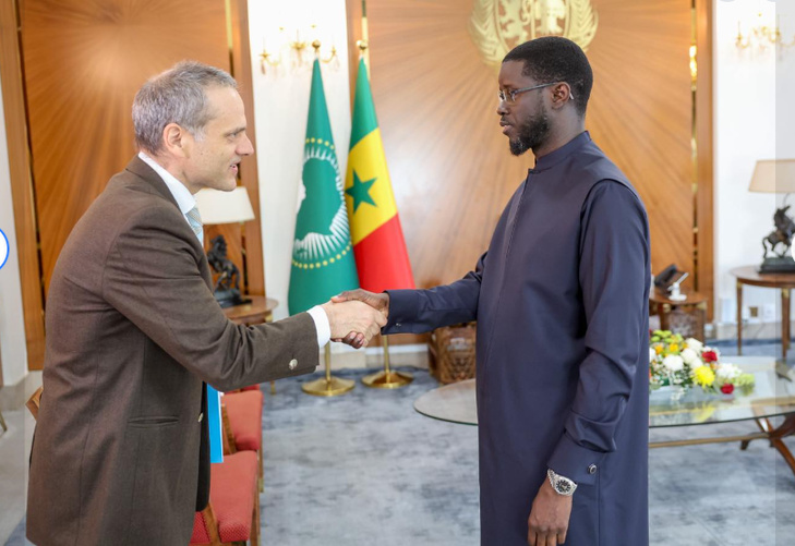 Photos : Le Président Bassirou Diomaye Faye a reçu le Directeur général de TARANIS Energy for Africa, ce vendredi