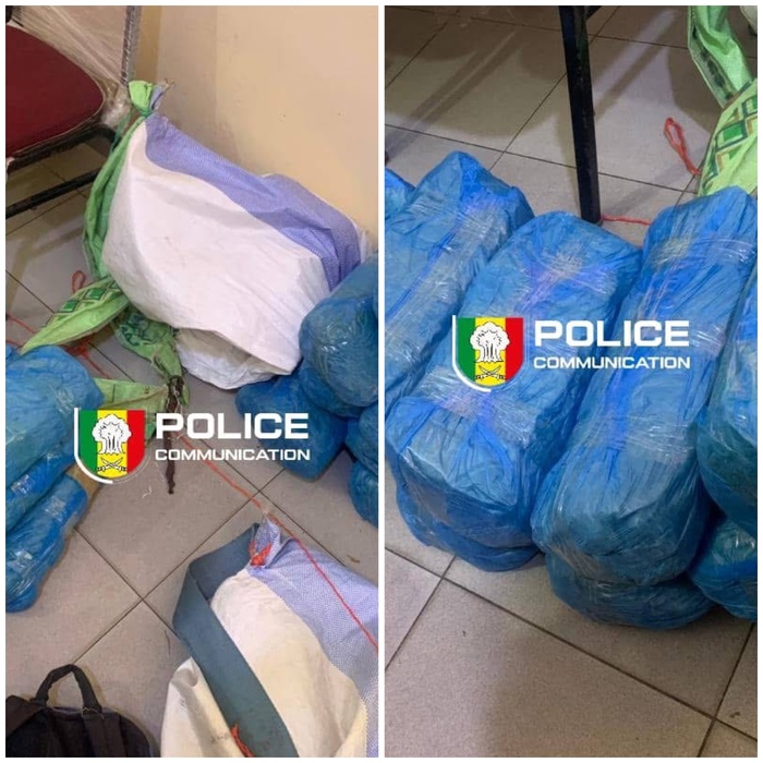 Fatick : Saisie de 23 kg de chanvre indien dans la forêt de Pakala