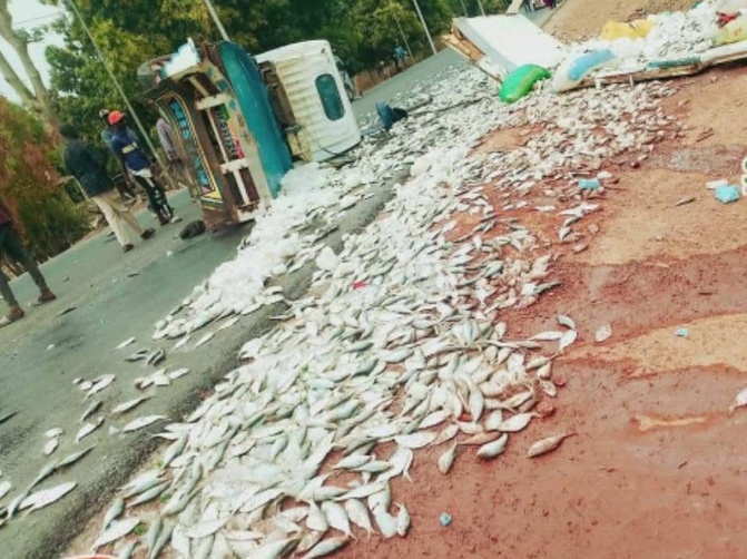 Axe Bignona–Diarone : 15 blessés dans une collision entre un minibus et un camion