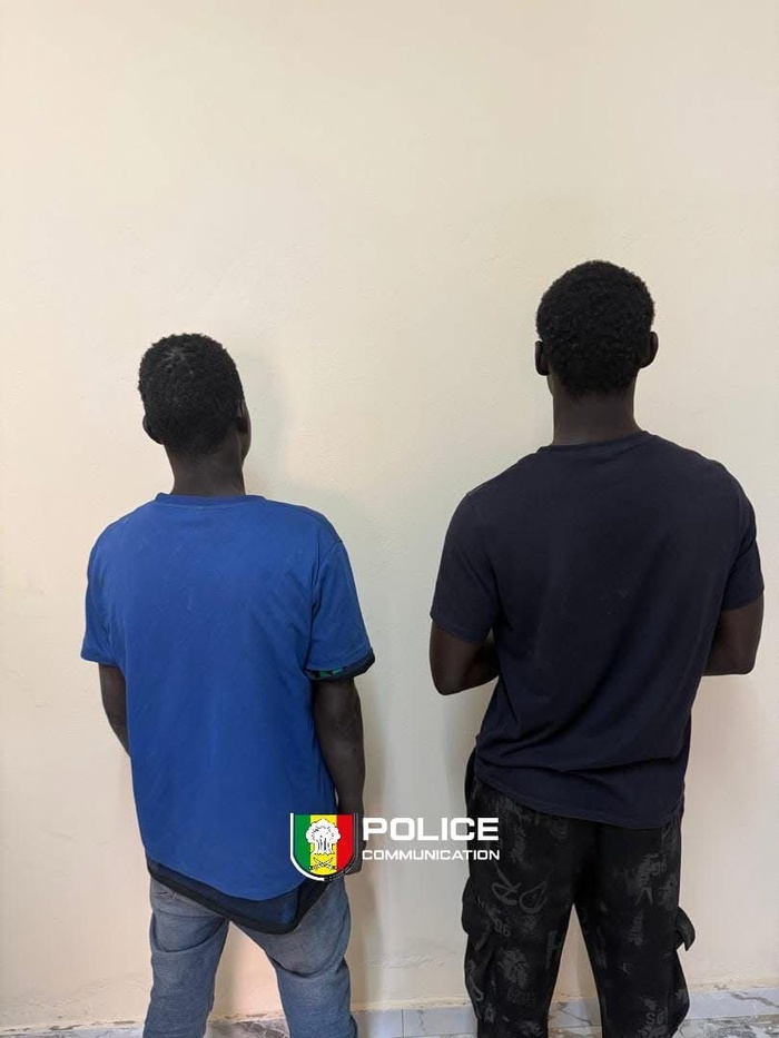 Dalifort-Foirail: arrestation de deux individus pour actes contre nature présumés