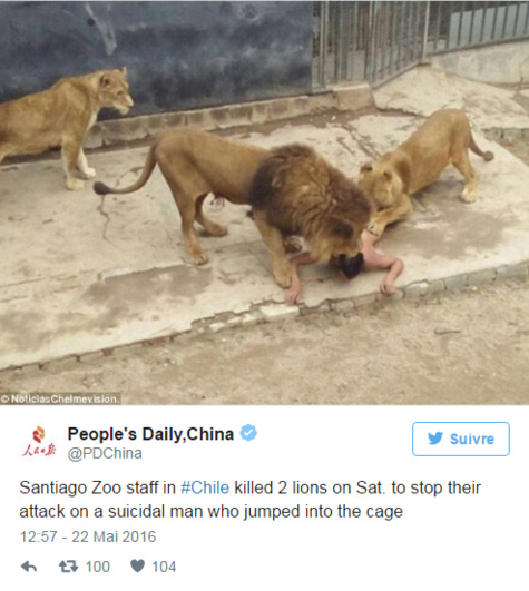 Pour en finir, il se jette nu dans la fosse aux lions