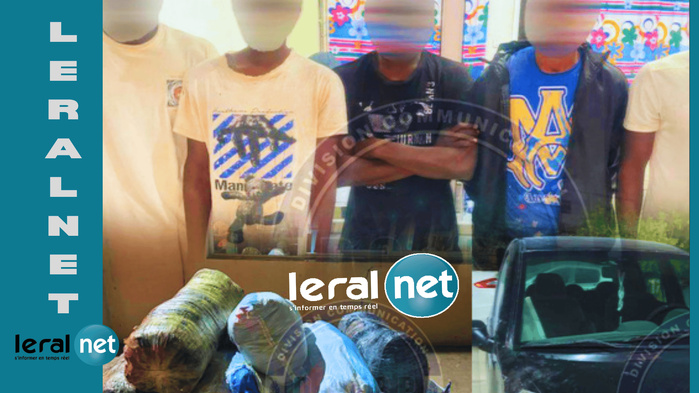 Mbour: plus de 800 kg de chanvre indien saisis, un réseau structuré démantelé