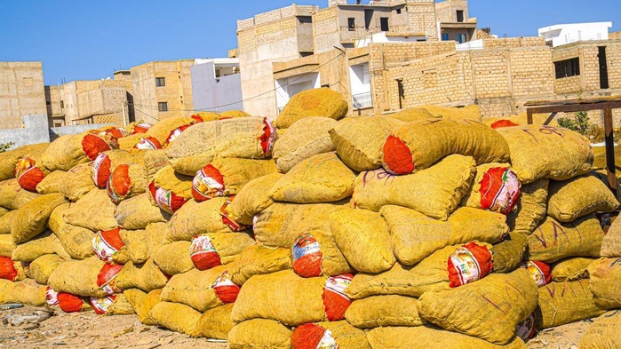 Pêche illicite : le MPEM dresse un bilan des saisies à Joal-Fadiouth et Mbao