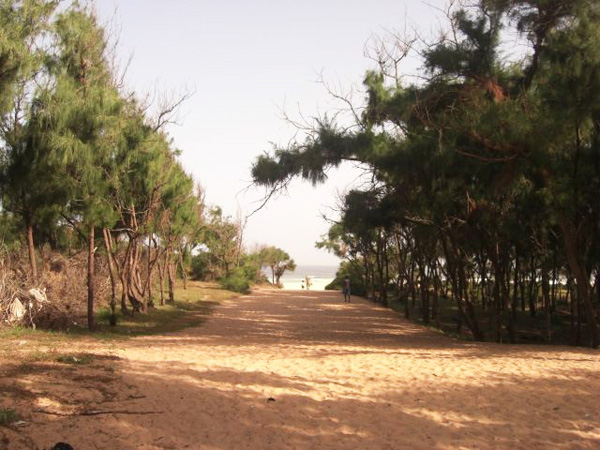 Sos littoral de Guédiawaye ! Par Mamadou Dieng