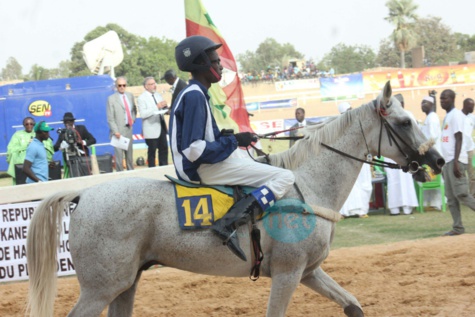 Course hippique : Les images du Grand prix du chef de l'Etat à Thiès