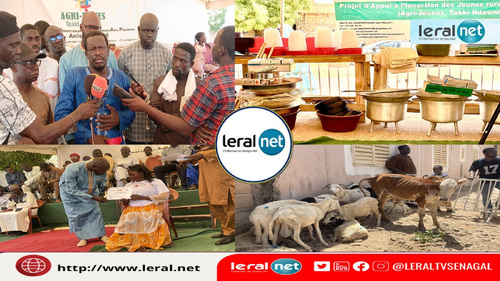 Agri-Jeunes : 100 jeunes agripreneurs financés et certifiés