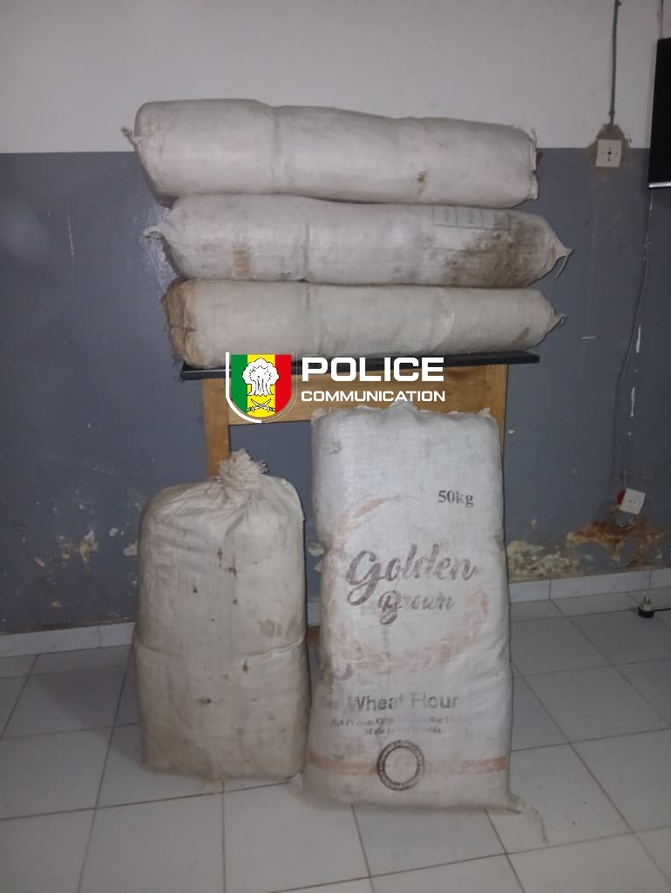 Trafic de drogue : l’OCRTIS démantèle plusieurs réseaux à travers le pays