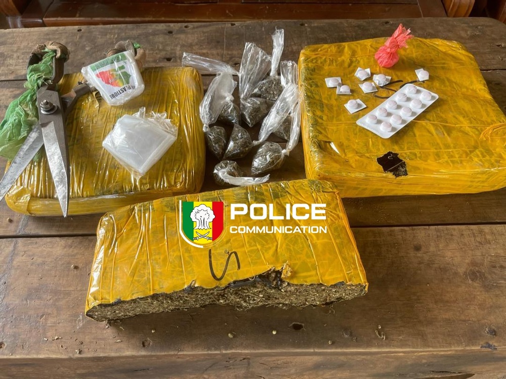 Trafic de drogue : l’OCRTIS démantèle plusieurs réseaux à travers le pays