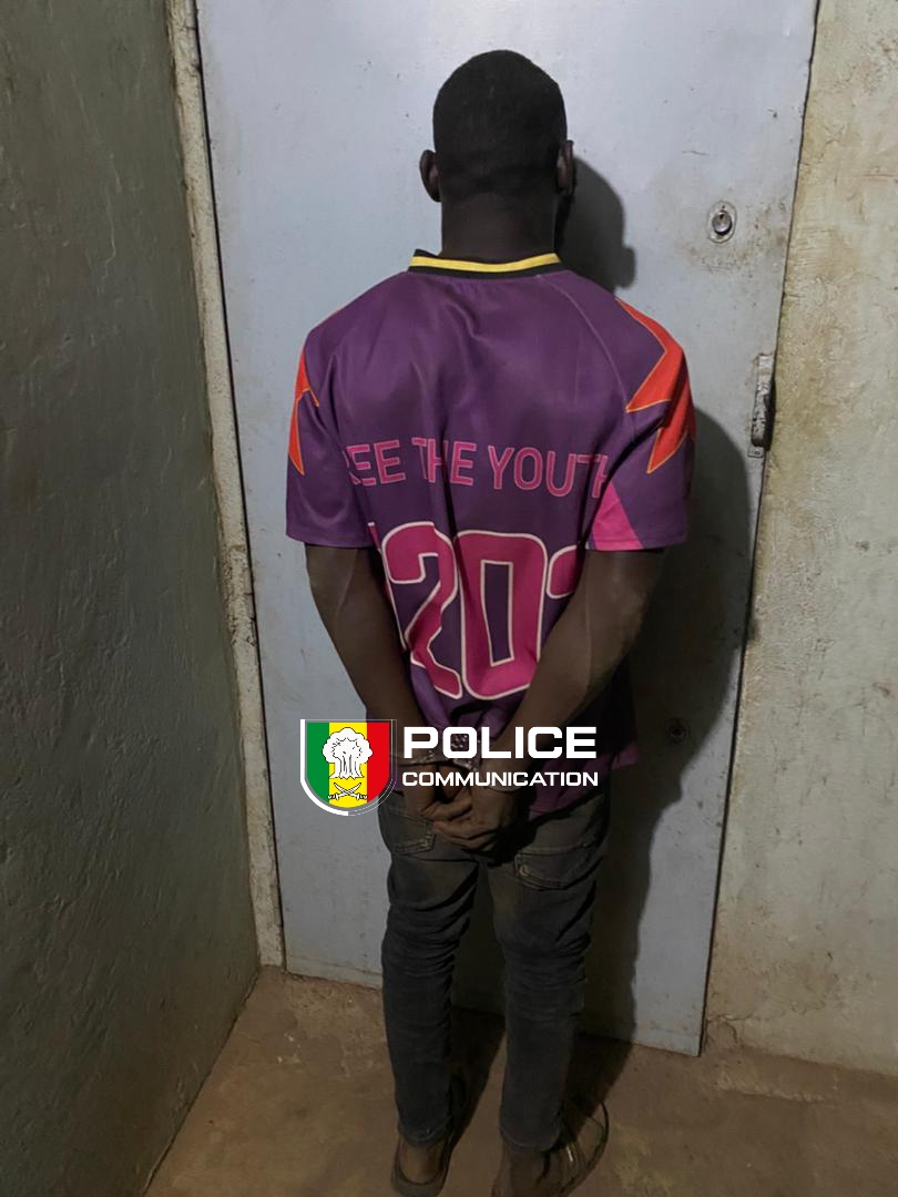 Trafic de drogue : l’OCRTIS démantèle plusieurs réseaux à travers le pays