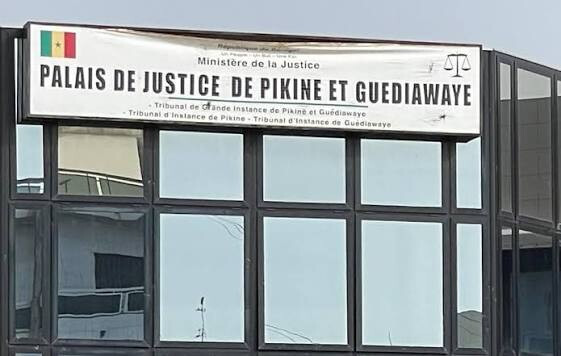 Mur effondré, sécurité menacée : des serpents envahissent le tribunal de Pikine