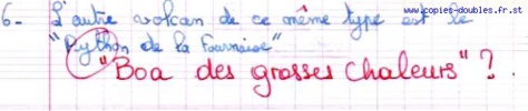 28 copies d'élèves hilarantes qui rivalisent d'imagination pour échapper aux réponses