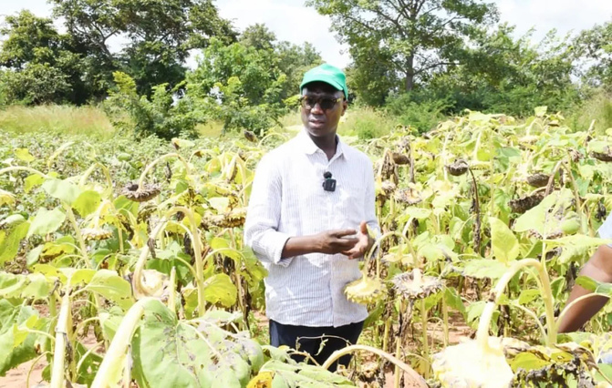 Campagne agricole 2026 : le Sénégal sécurise ses intrants et renforce sa souveraineté alimentaire