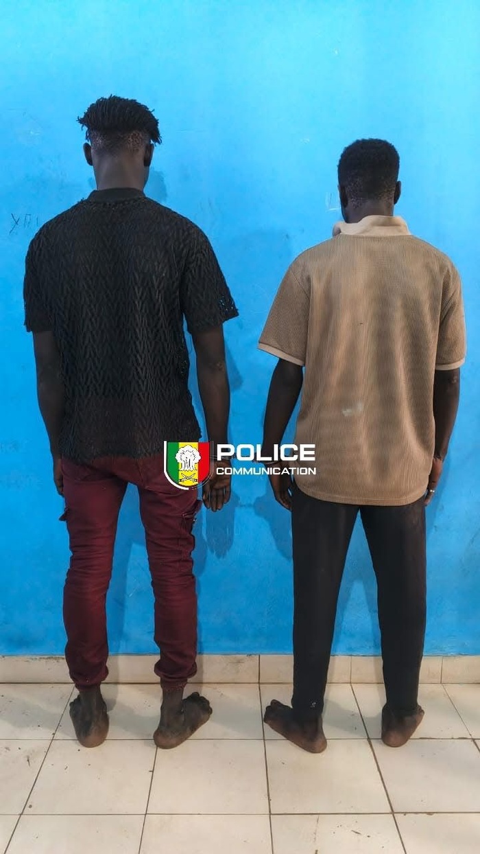 Cambriolages de véhicules : un duo spécialisé arrêté à Jaxaay