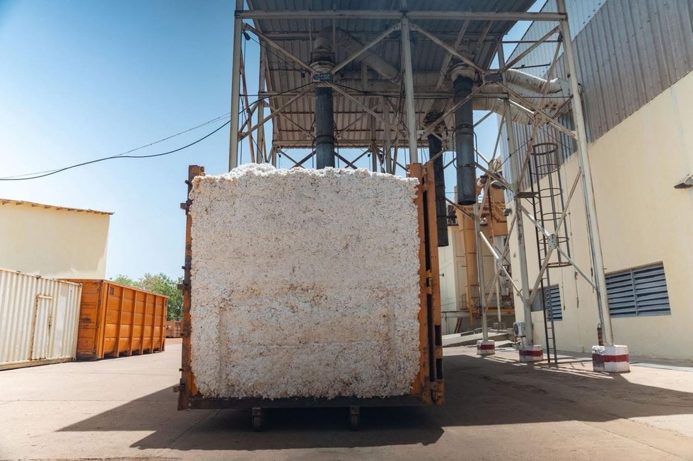 À Vélingara, le Président met en lumière le rôle stratégique de SODEFITEX