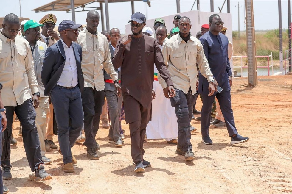Souveraineté alimentaire : le Chef de l’État mise sur les investissements productifs