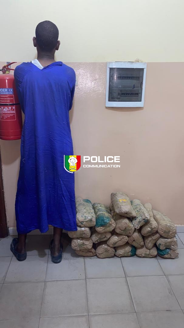 Lutte antidrogue : l’OCRTIS frappe fort dans le centre du Sénégal